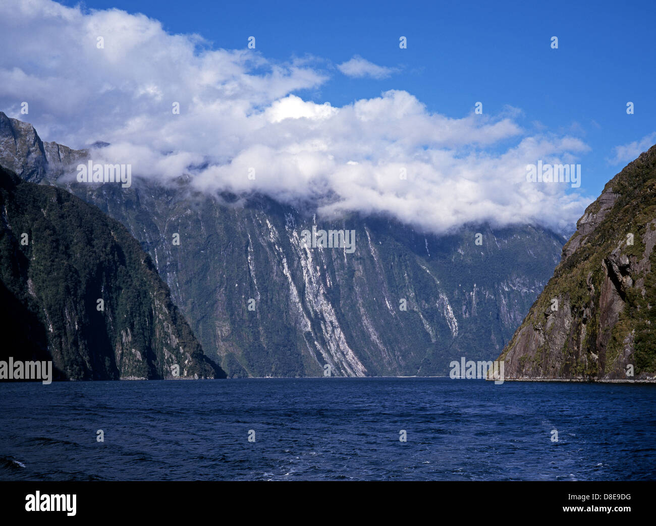Fjord In Fjordland National Park Te Wahipounamu World Heritage Site West Coast Milford Sound South Island New Zealand Stock Photo Alamy