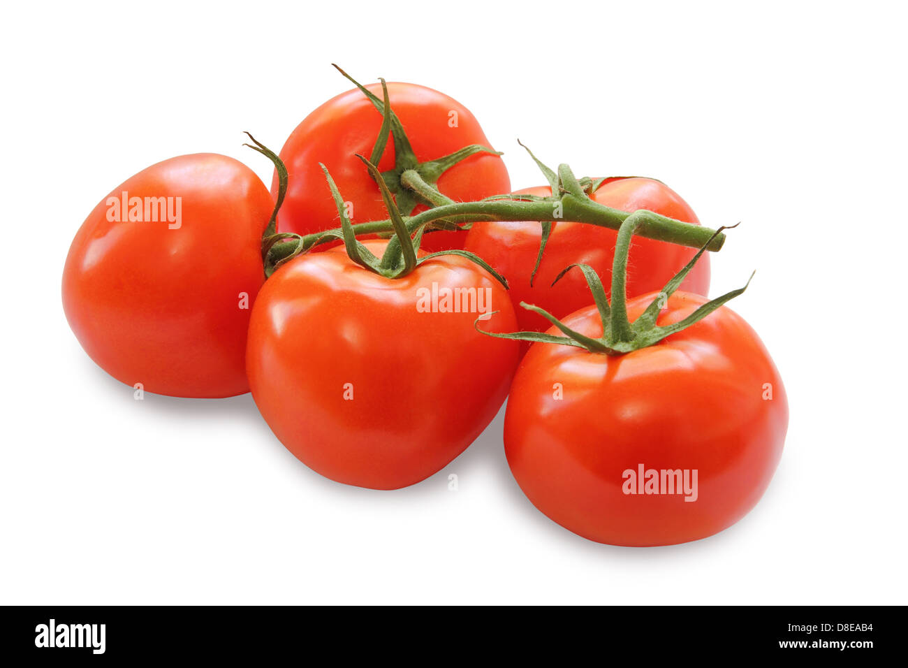 bunch of red tomatoes isolated on a white background Stock Photo - Alamy