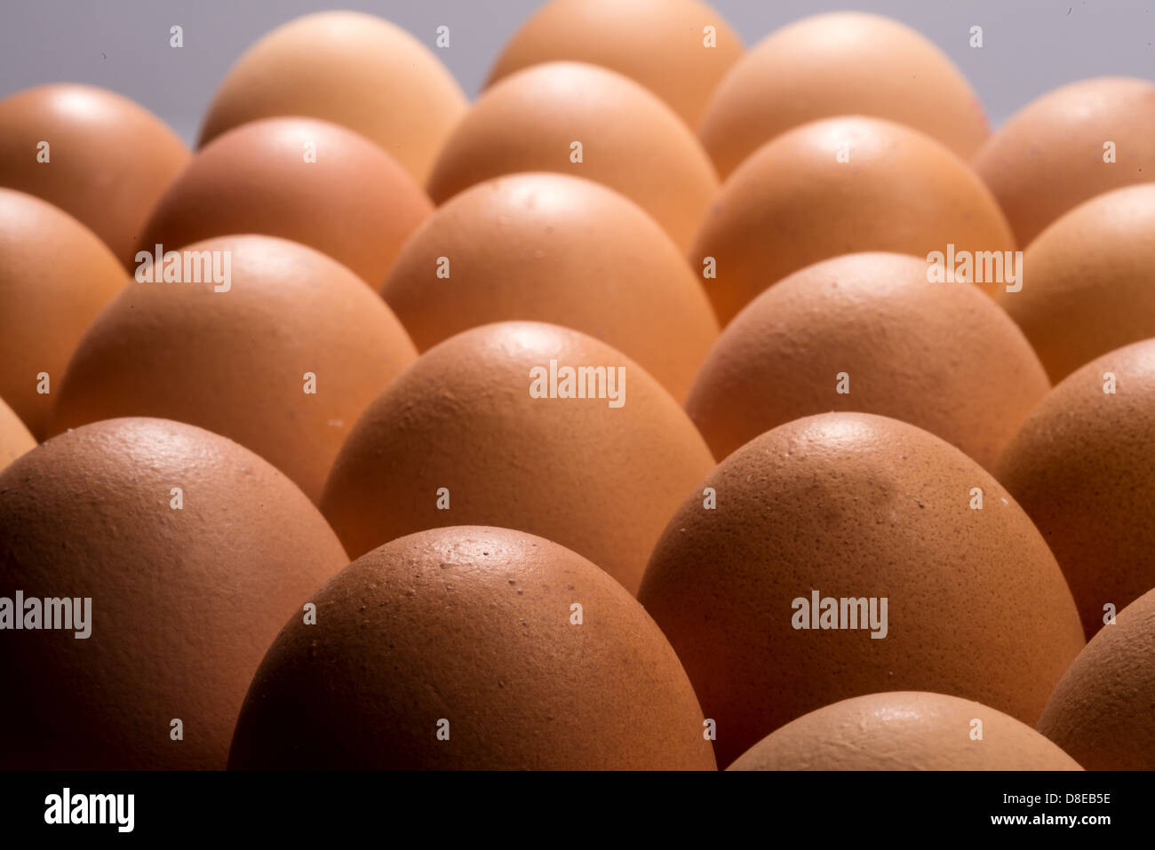 Various views of hens' eggs in a tray. Stock Photo