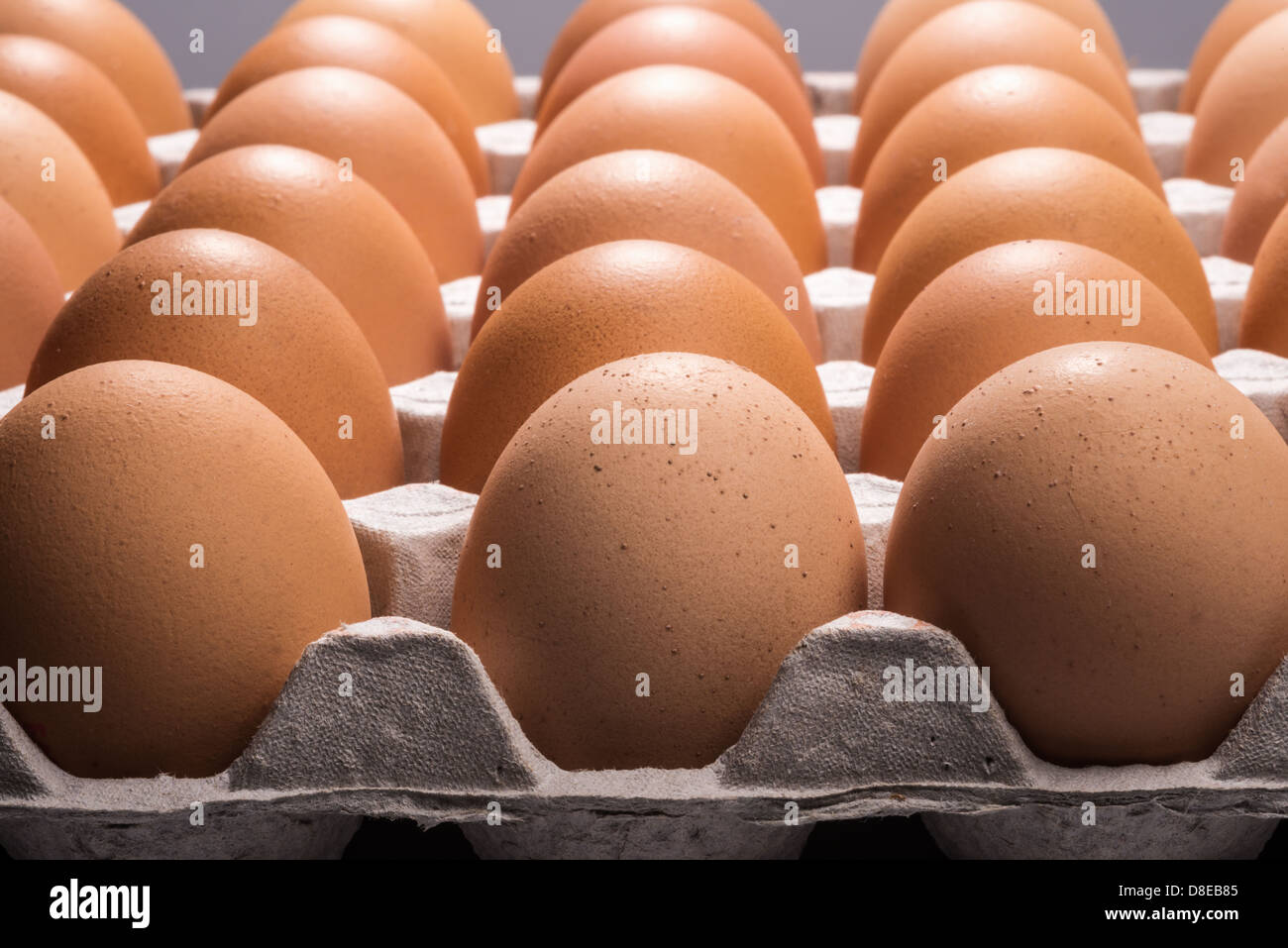 Various views of hens' eggs in a tray. Stock Photo