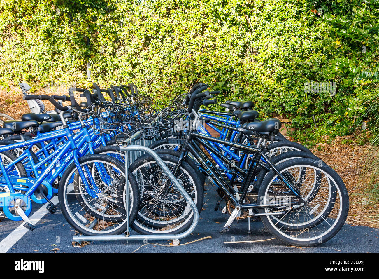 blue bike rack