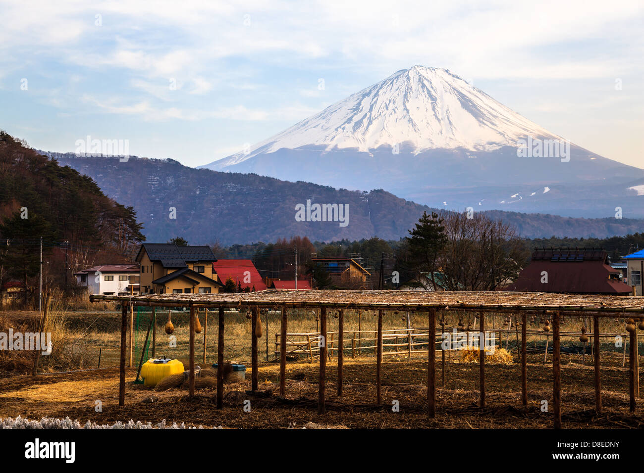 view of mt fuji from iyashino sato village Stock Photo