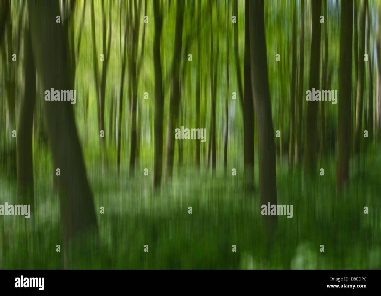 Woodland motion blur effect. Stock Photo