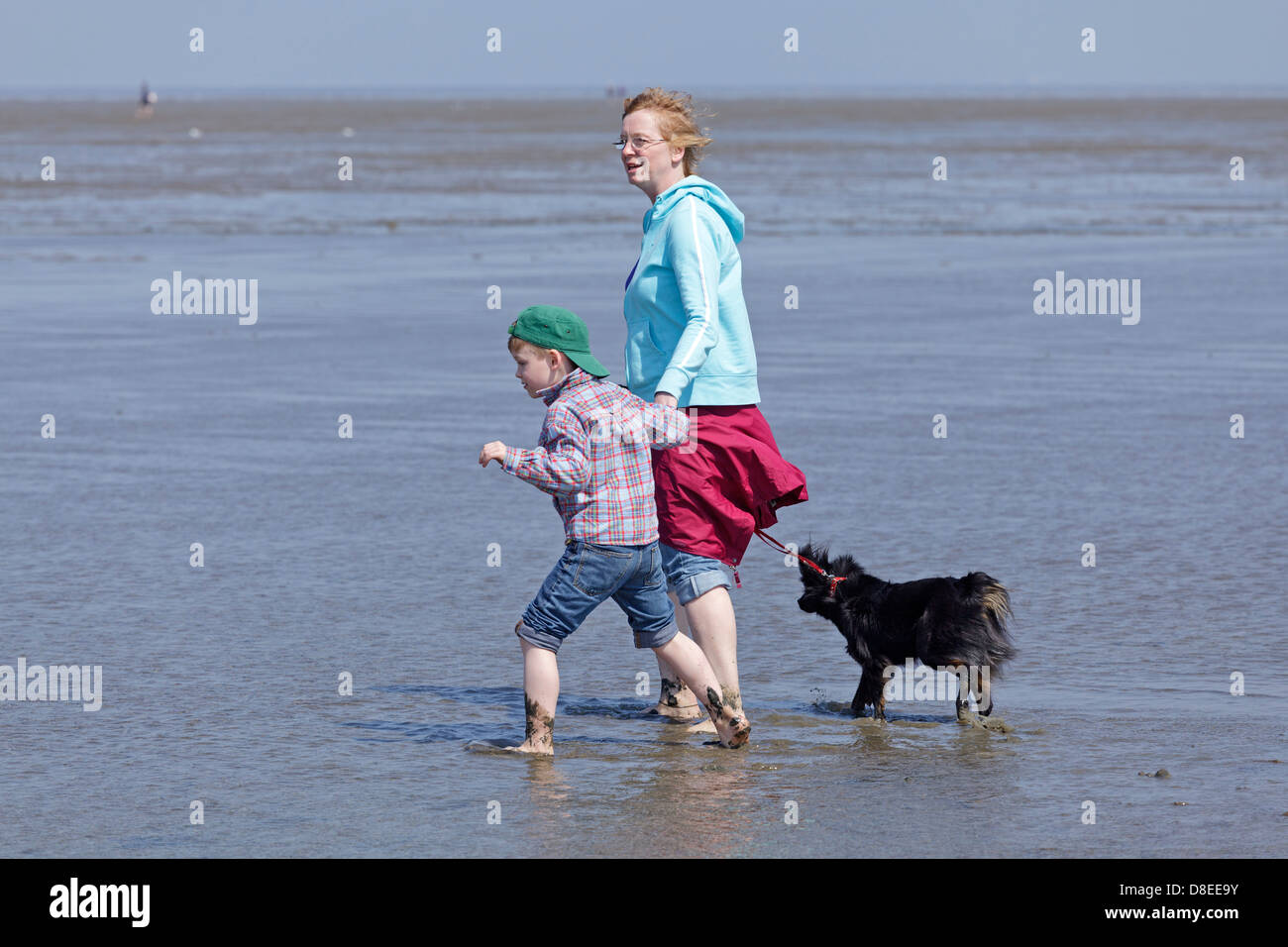 a mother, her young son and the family dog in the mudflats near Duhnen