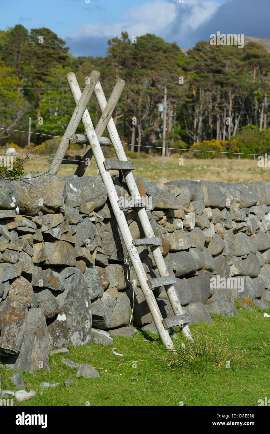 Scottish Roper Ladder A tall wooden ladder constructed from timber used to climb over tall ...