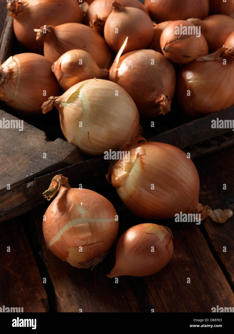 Onions whole raw cooking ingredients Stock Photo