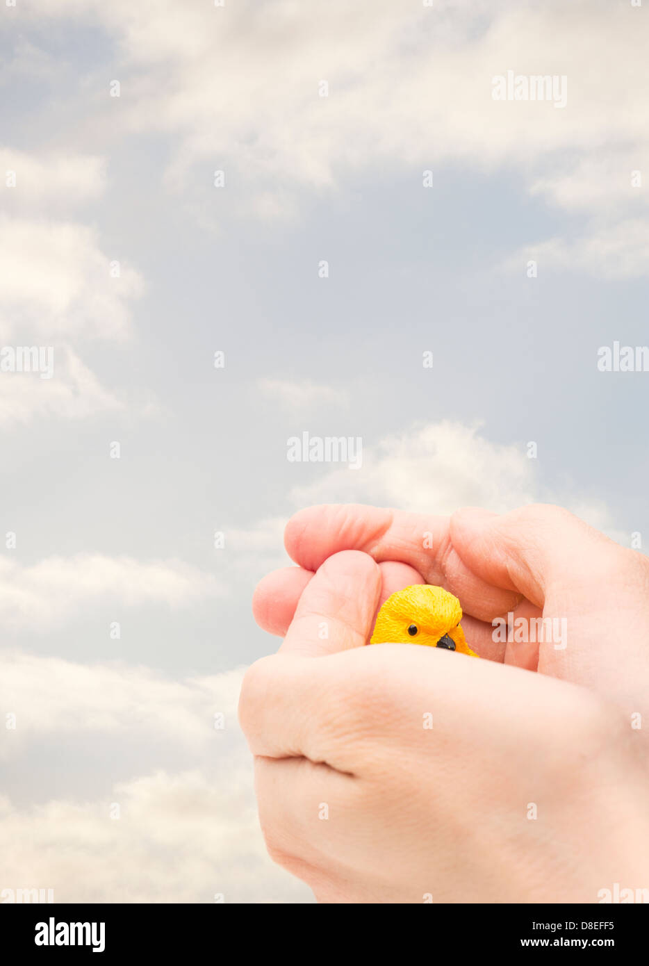 Hands holding and sheltering yellow plastic bird with bright summer sky in the background Stock Photo