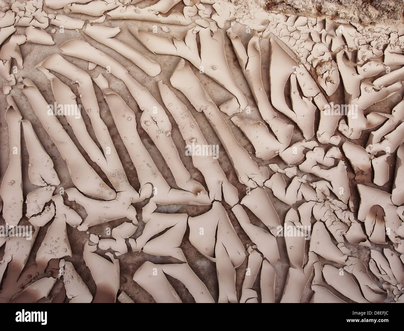 global warming concept of cracked ground Stock Photo - Alamy