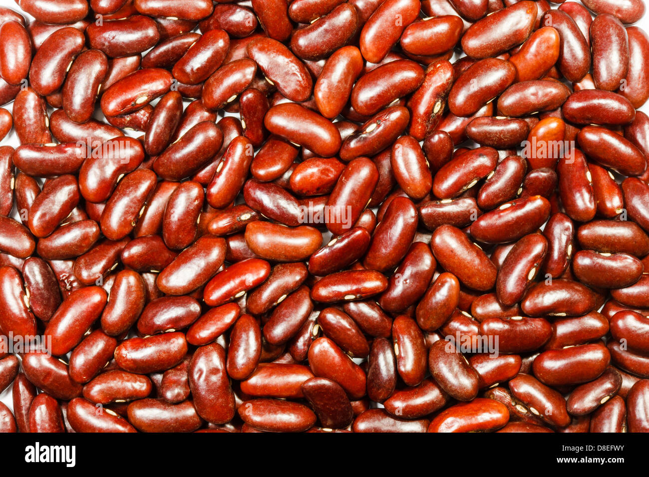 Red kidney bean Stock Photo