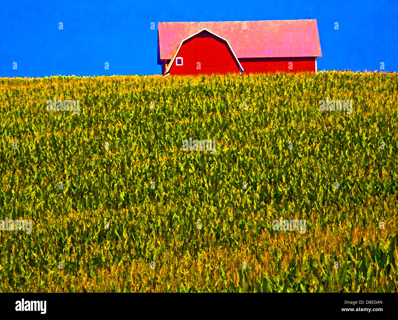 Albion, Michigan - A barn and corn field in rural Michigan. Stock Photo