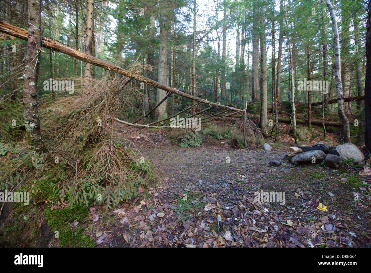 Man made campsite along Walker Brook in Franconia Notch State Park of the White Mountain National Forest, New Hampshire Stock Photo