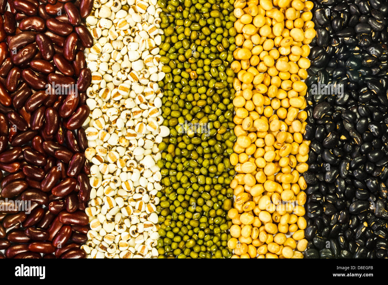 Mung bean mature hires stock photography and images Alamy