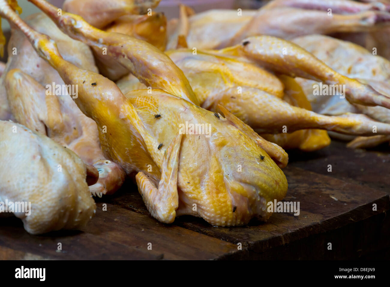 Chicken on a Market in Phnom Penh, Cambodia Stock Photo