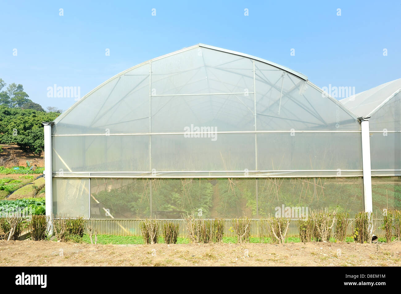 The Greenhouse Farm main image 1