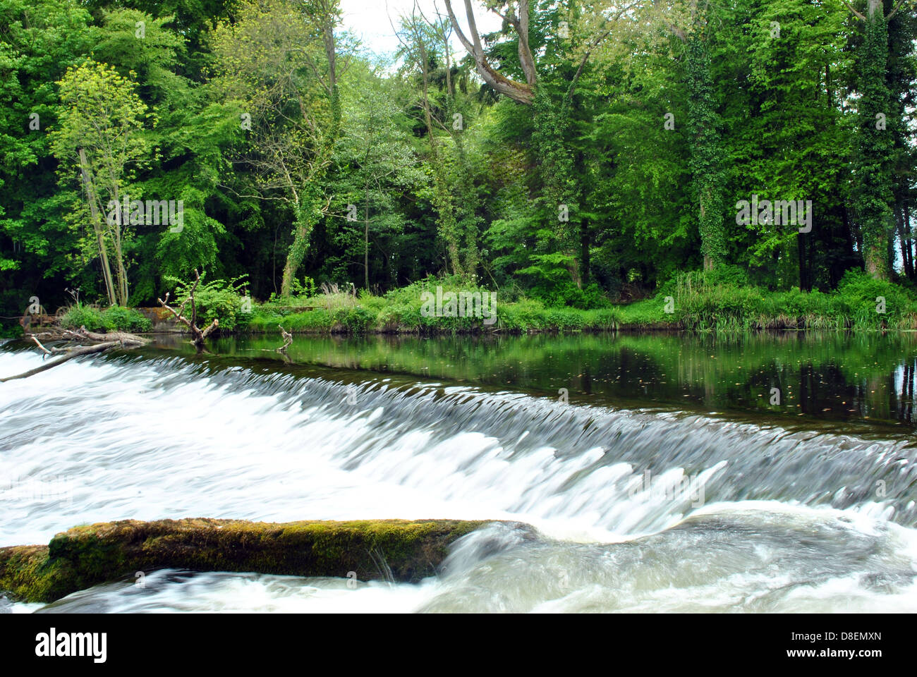 weir on the river liffey at the k club in  county kildare ireland Stock Photo