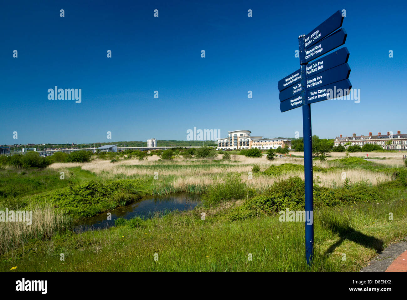 wetlands nature reserve cardiff bay cardiff wales Stock Photo Alamy