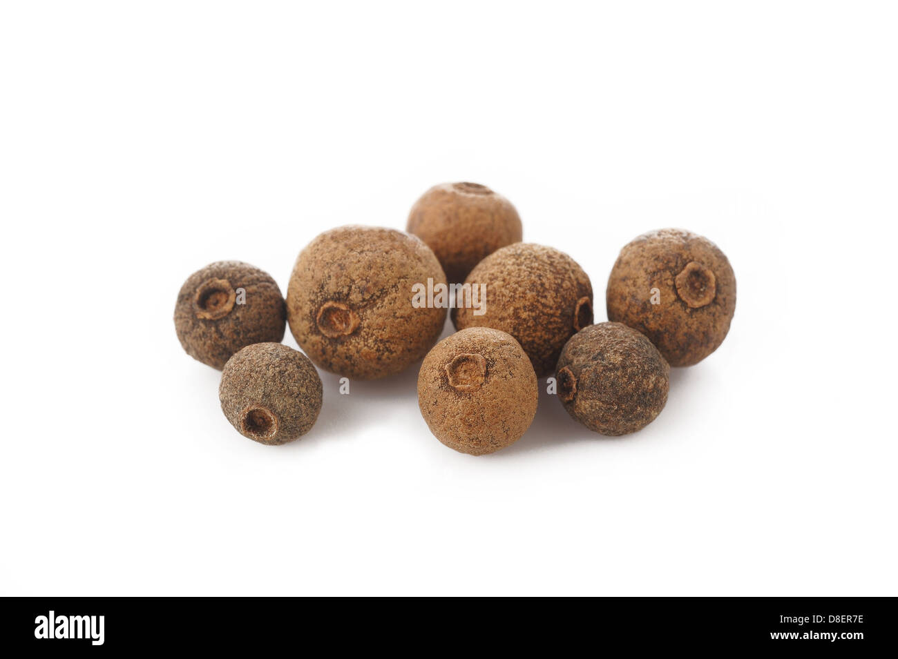 Allspice pepper (Jamaica pepper) on white background Stock Photo Alamy
