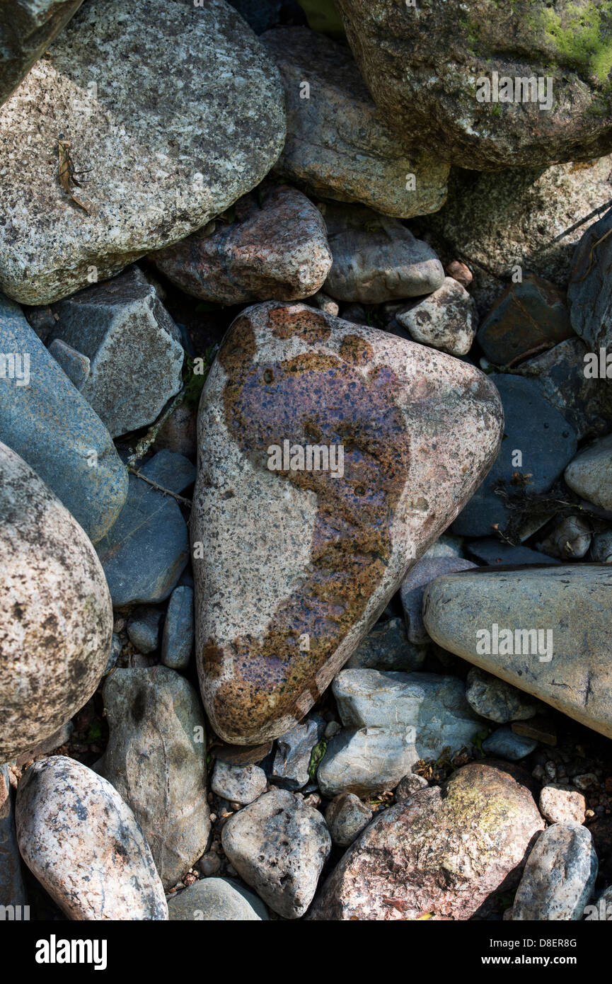 Wet footprint on a stone by a river. UK Stock Photo