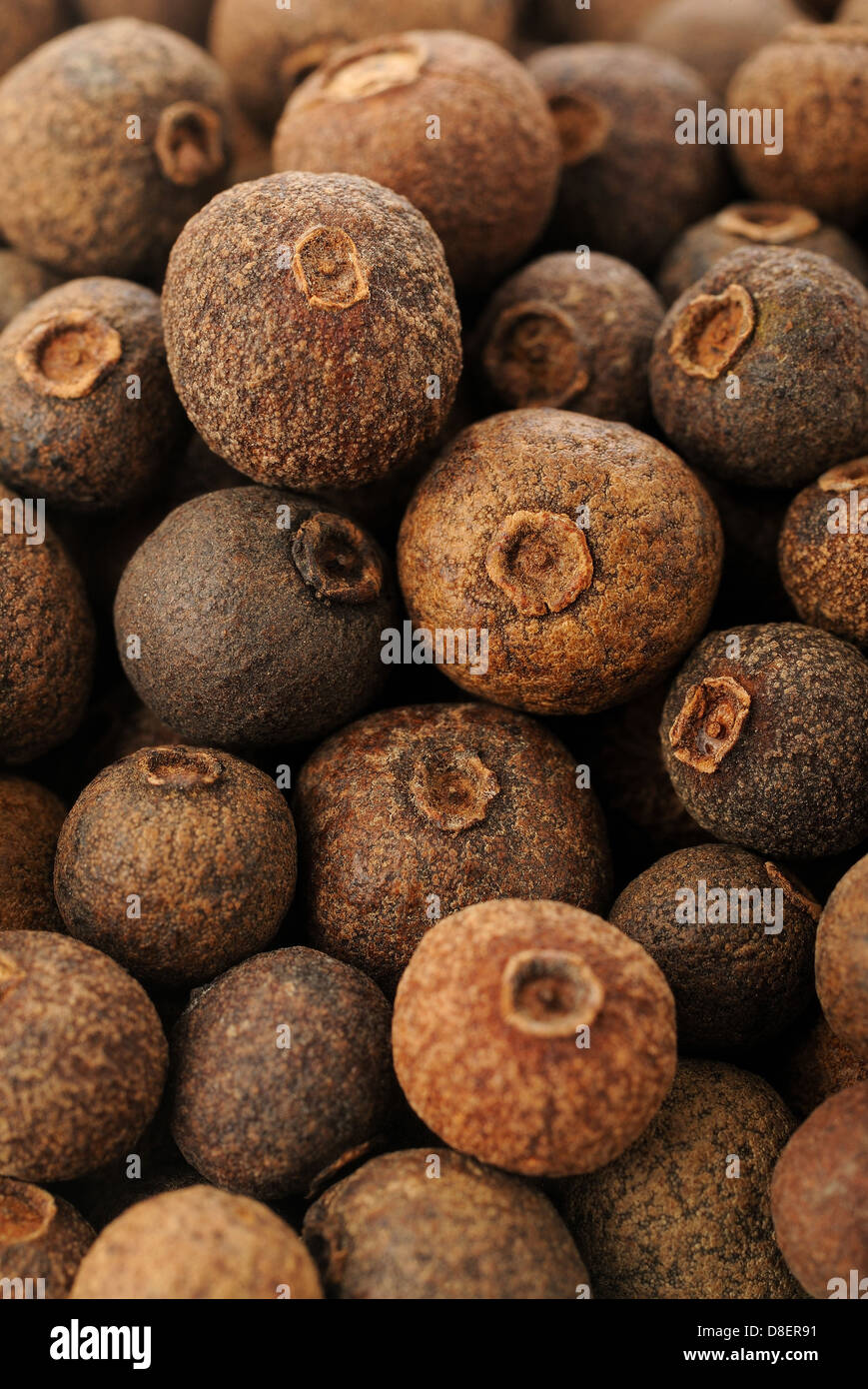 Allspice pepper (Jamaica pepper Stock Photo Alamy