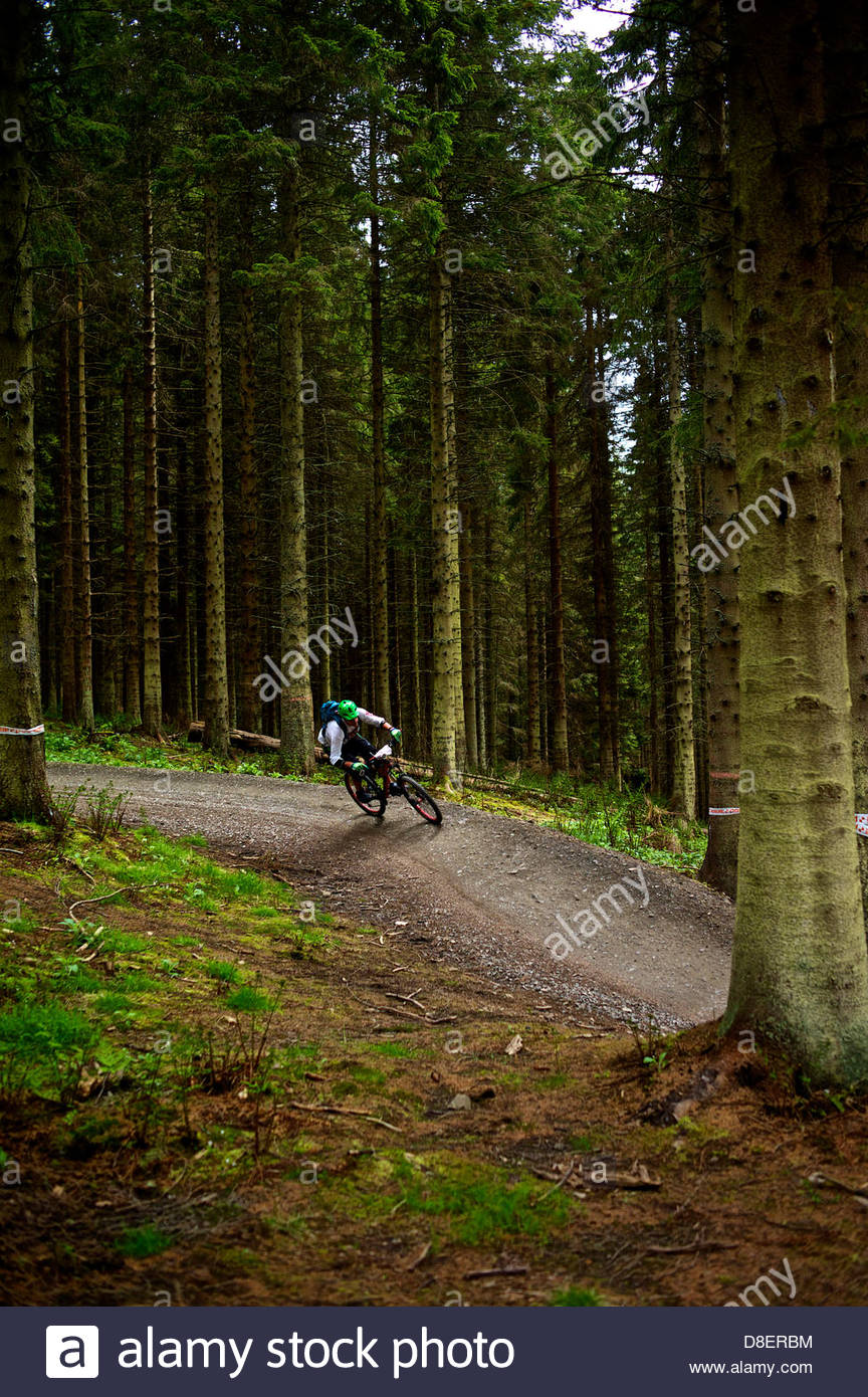 glentress trails