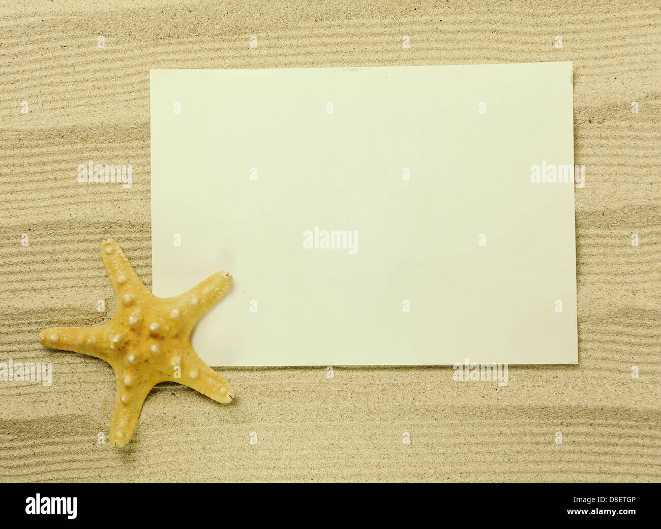 starfish and shells with frame on the beach, vacation memories Stock Photo