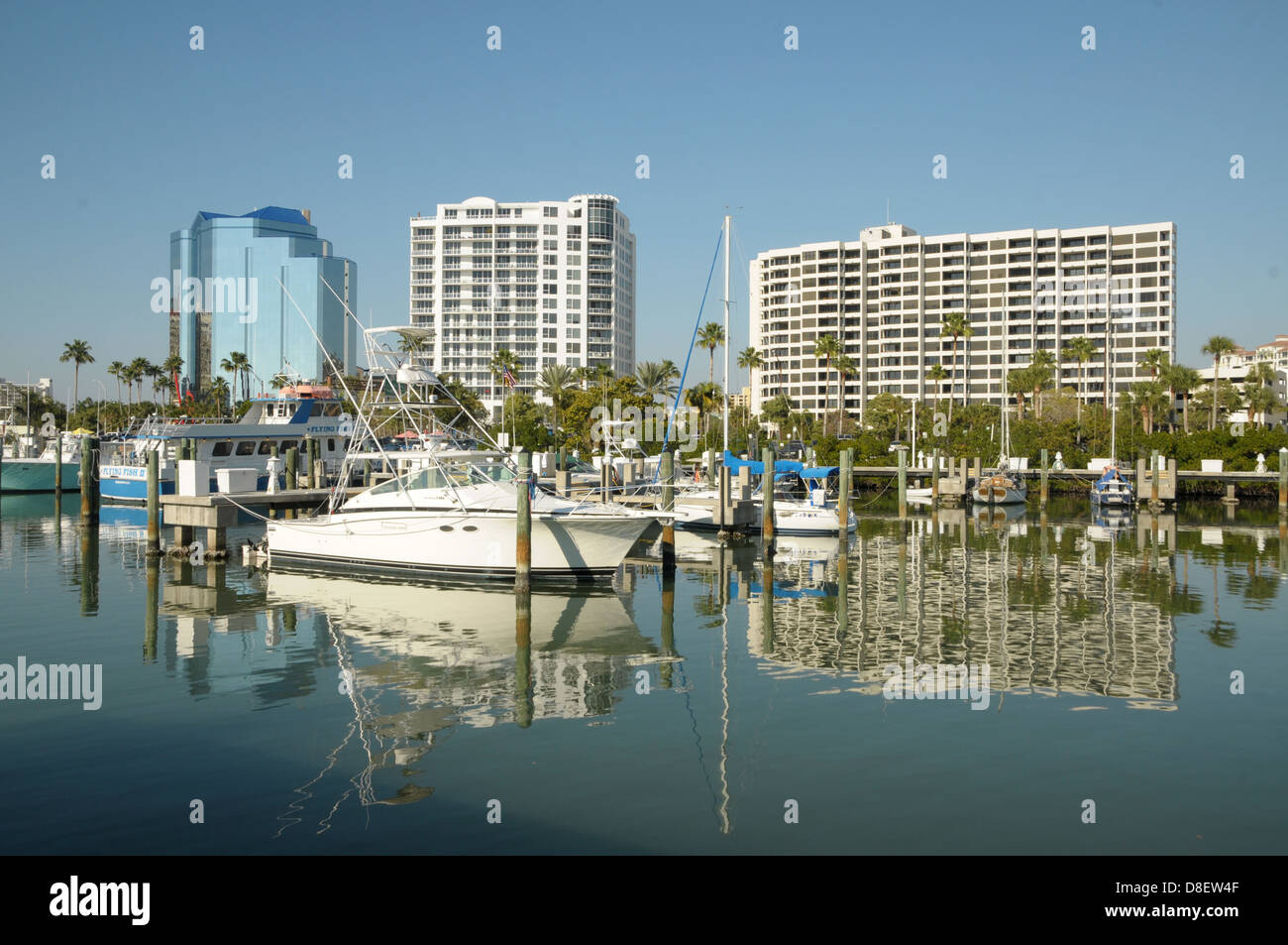 A flotilla of boats is moored at the Sarasota, Florida bay with buildings in the background. Stock Photo
