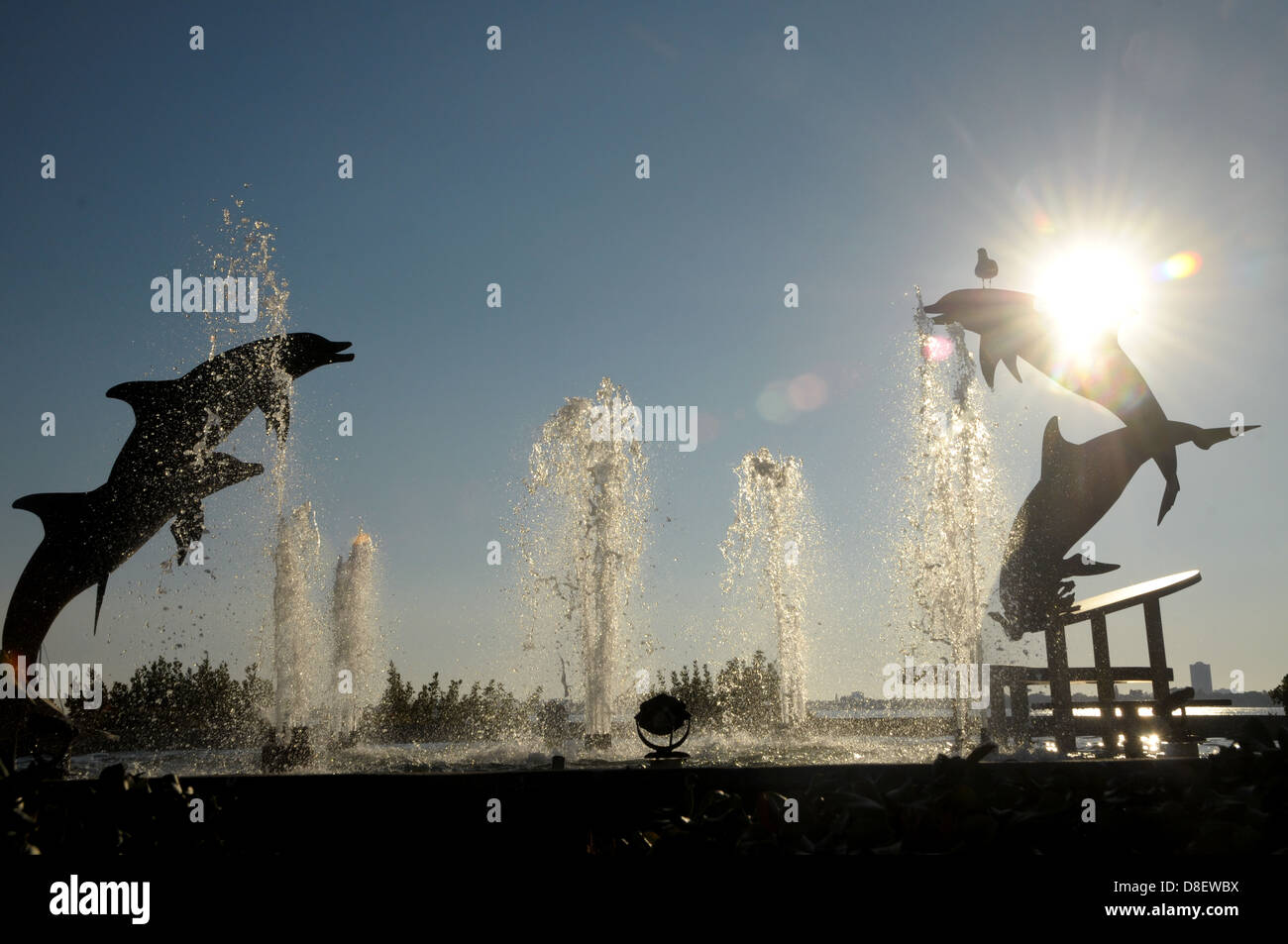 Dolphin statues show themselves in the air as the sun sits behind them at a water fountain at Sarasota, FL by the waterfront. Stock Photo