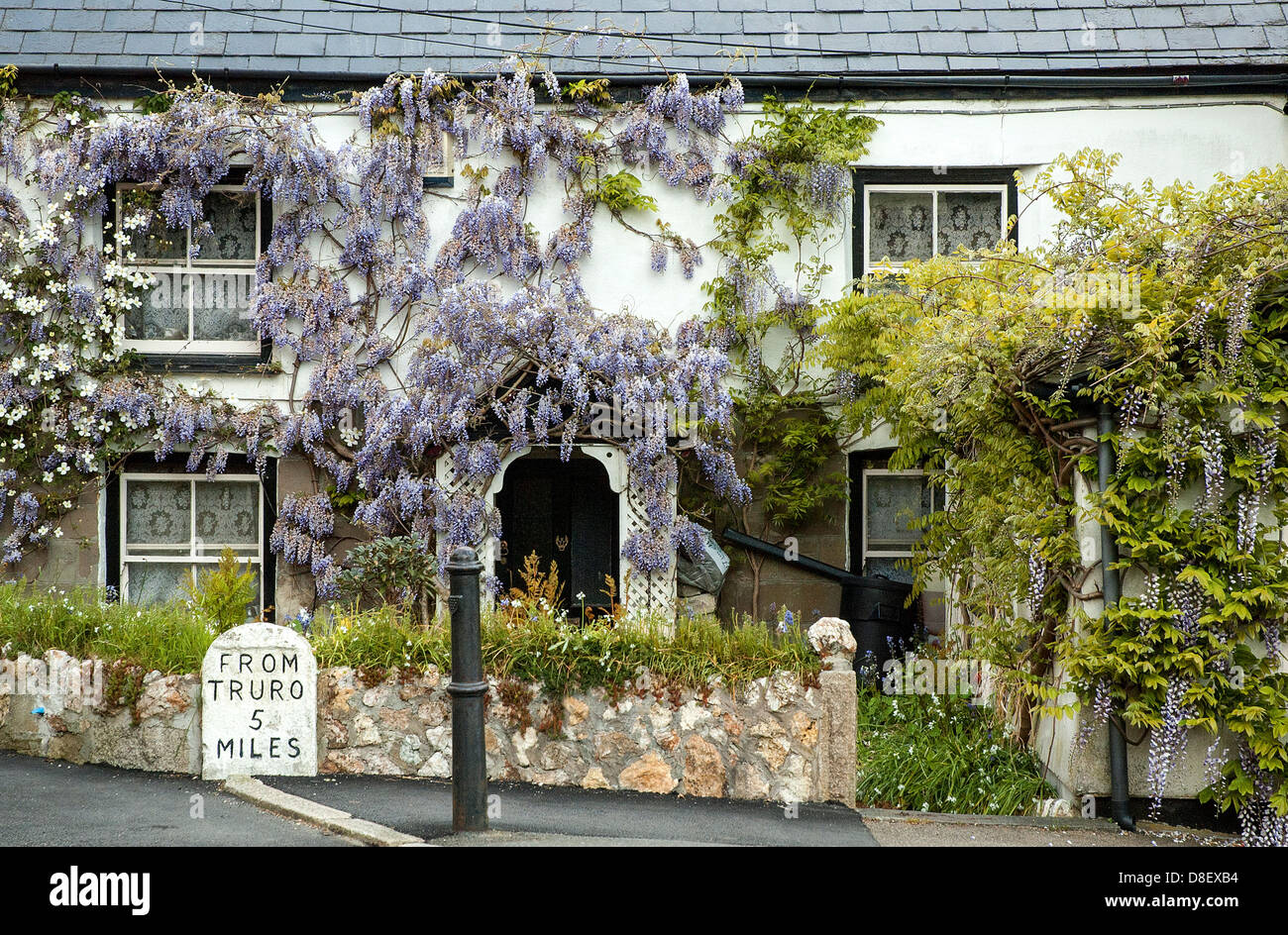 Wisteria Cottage Stock Photos Wisteria Cottage Stock Images