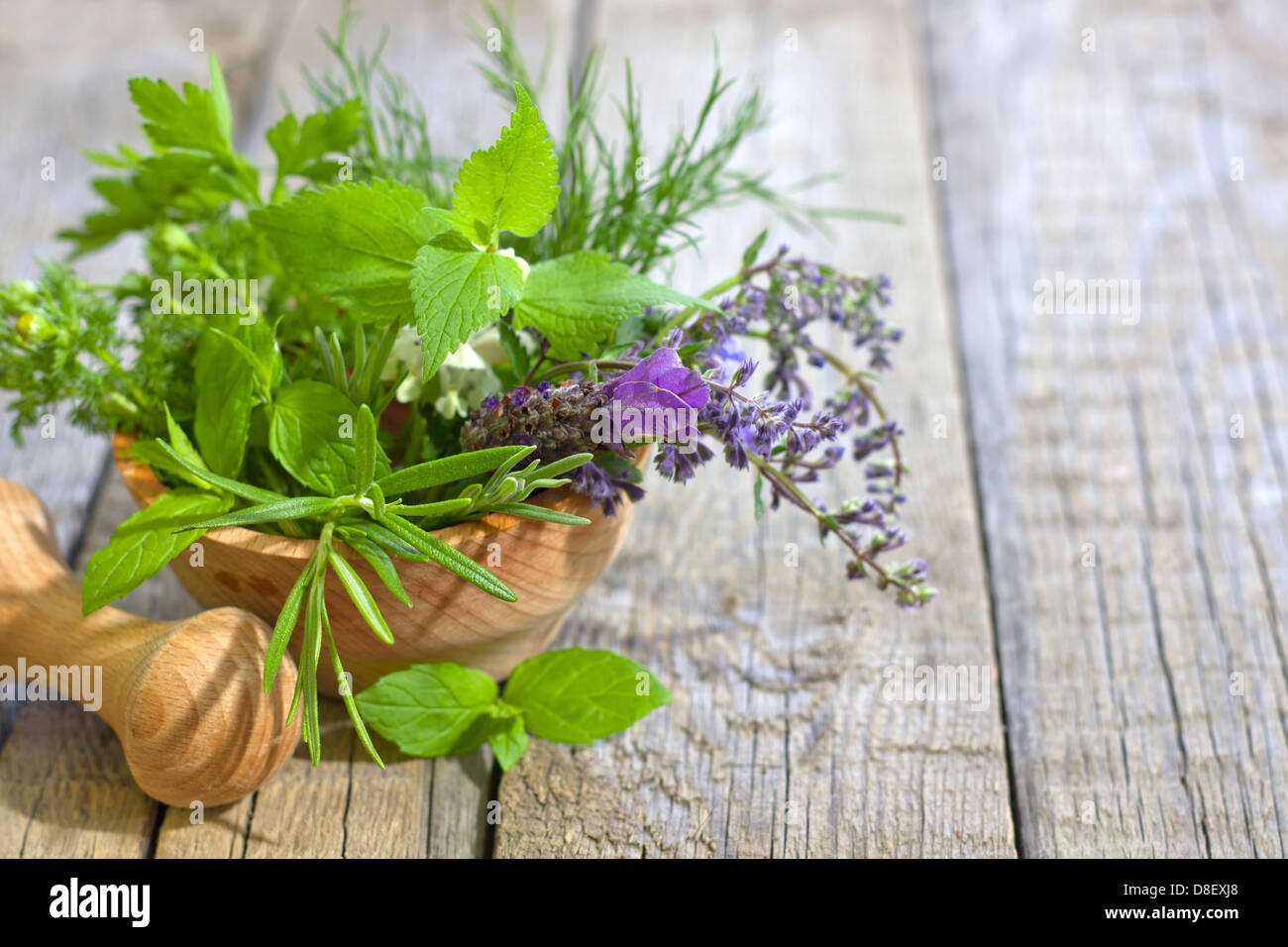 Herbs spices peppermint leaf hi-res stock photography and images - Alamy