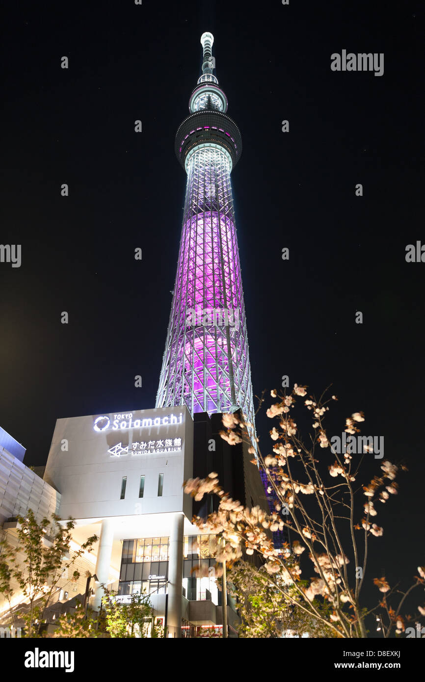 Television Tower Tokyo SkyTree Miyabi Illuminated At Night, Tokyo ...