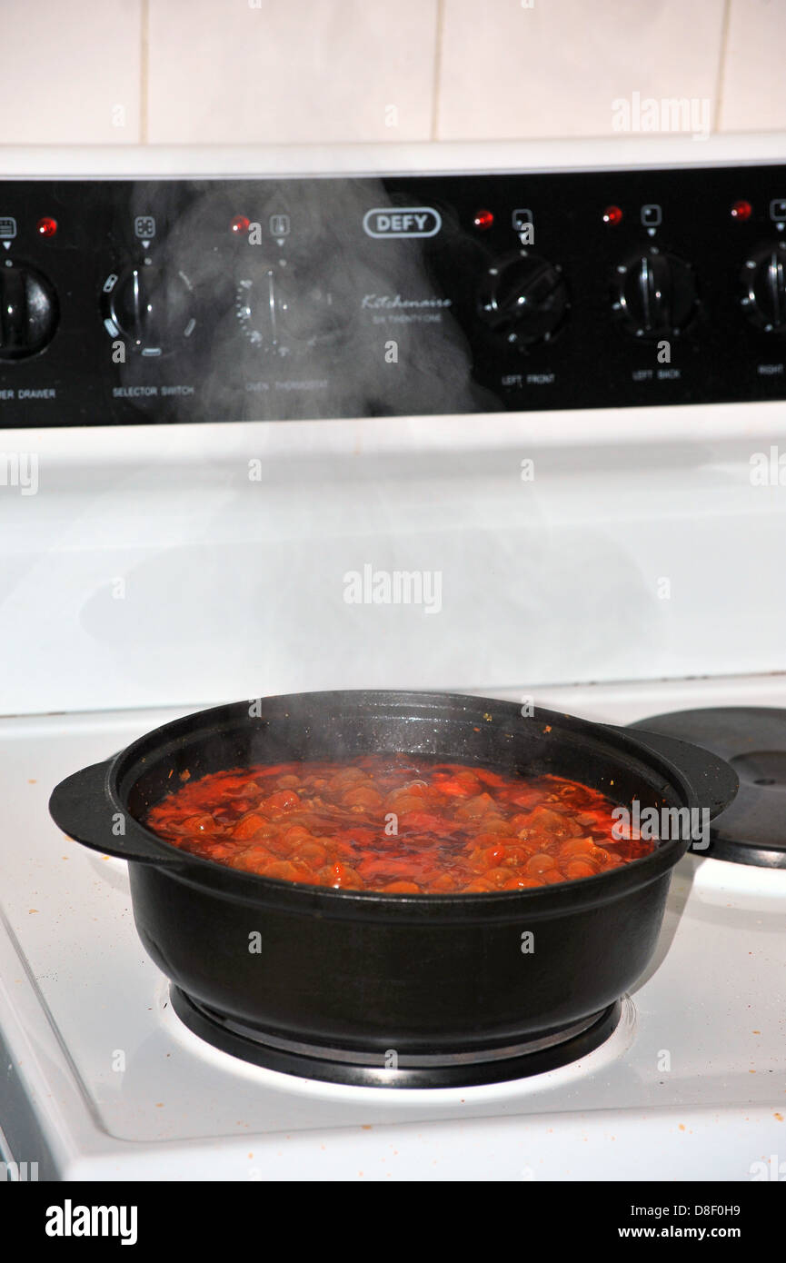 Images of a stew cooking in a cast iron pot on an electric cooker. Stock Photo