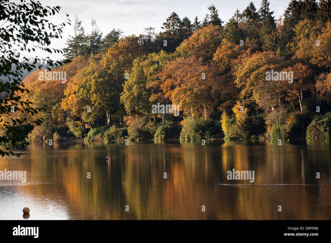 Colours of the Fall Stock Photo