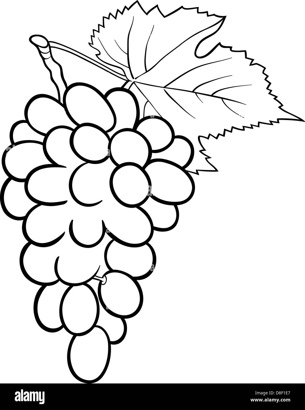 Black and White Cartoon Illustration of Bunch of Grapes or Grapevine Fruit Food Object for Coloring Book Stock Photo