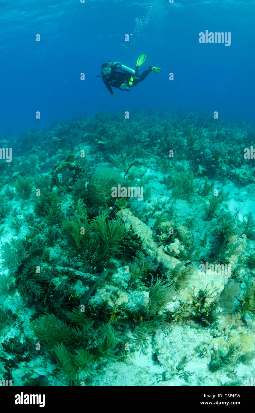 A female scuba diver inspects the famous Spanish anchor in Key Largo, Florida Stock Photo