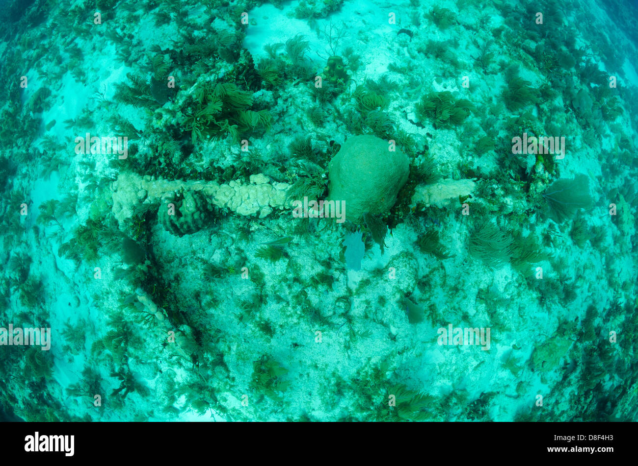 The historic Spanish anchor in Key Largo Stock Photo Alamy