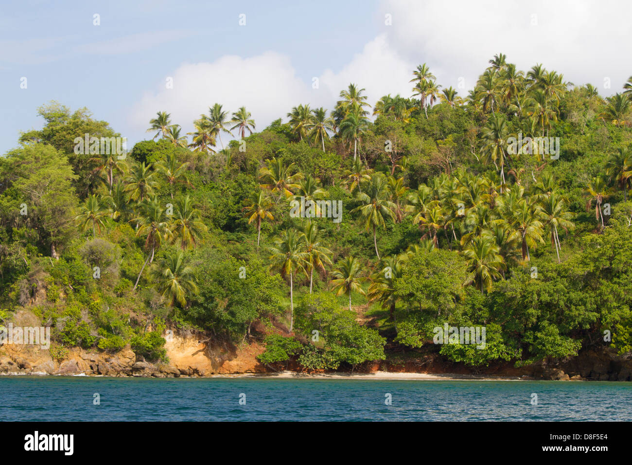 Los Haitises National Park, Samana, Dominican Republic. Stock Photo