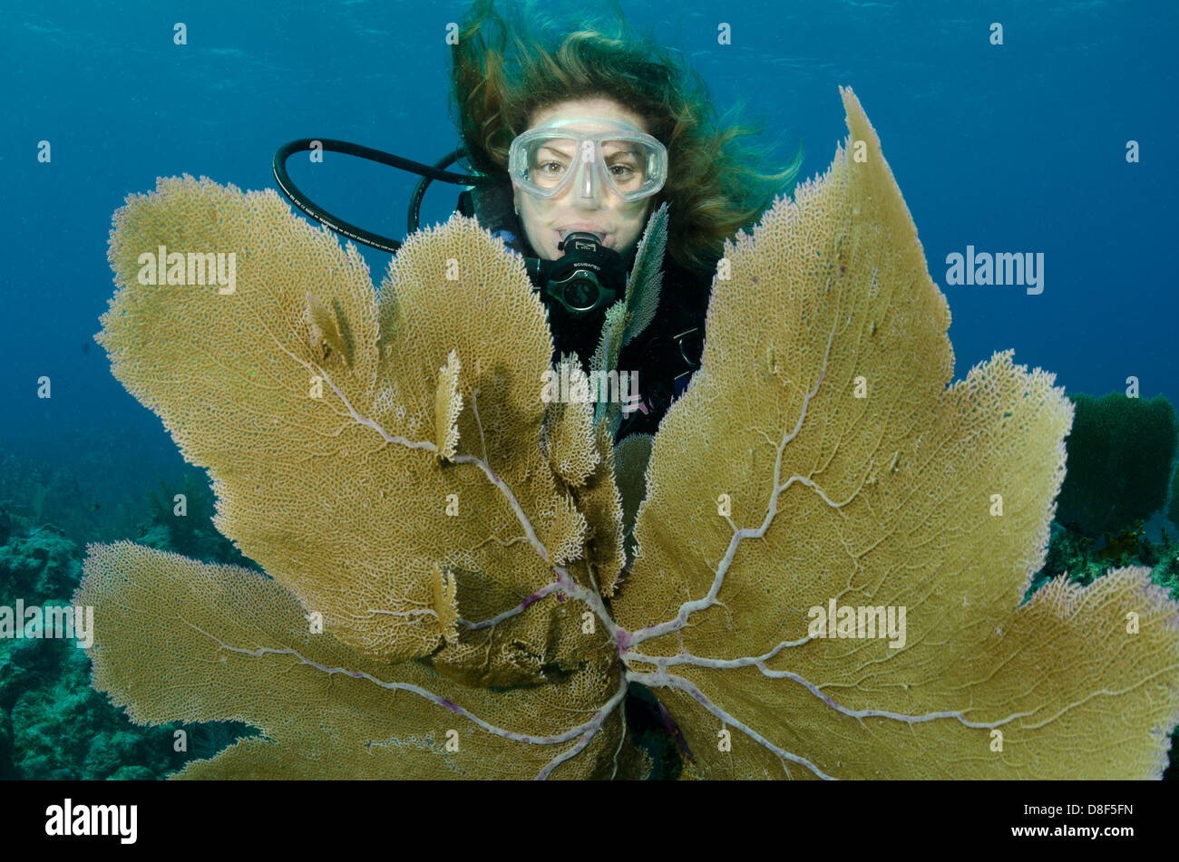 A female scuba diver poses next to a sea fan Stock Photo