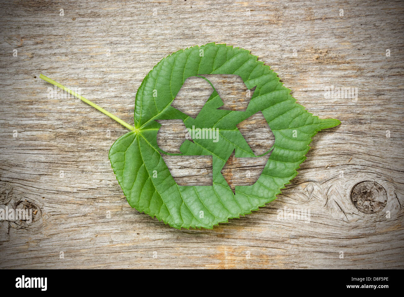 Green leaf with recycle symbol on the wooden background Stock Photo - Alamy