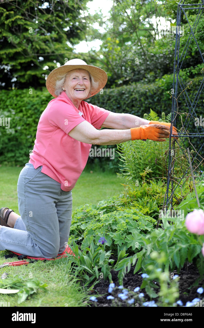 Elderly lady gardening in her family garden at home in North Yorkshire, uk Stock Photo