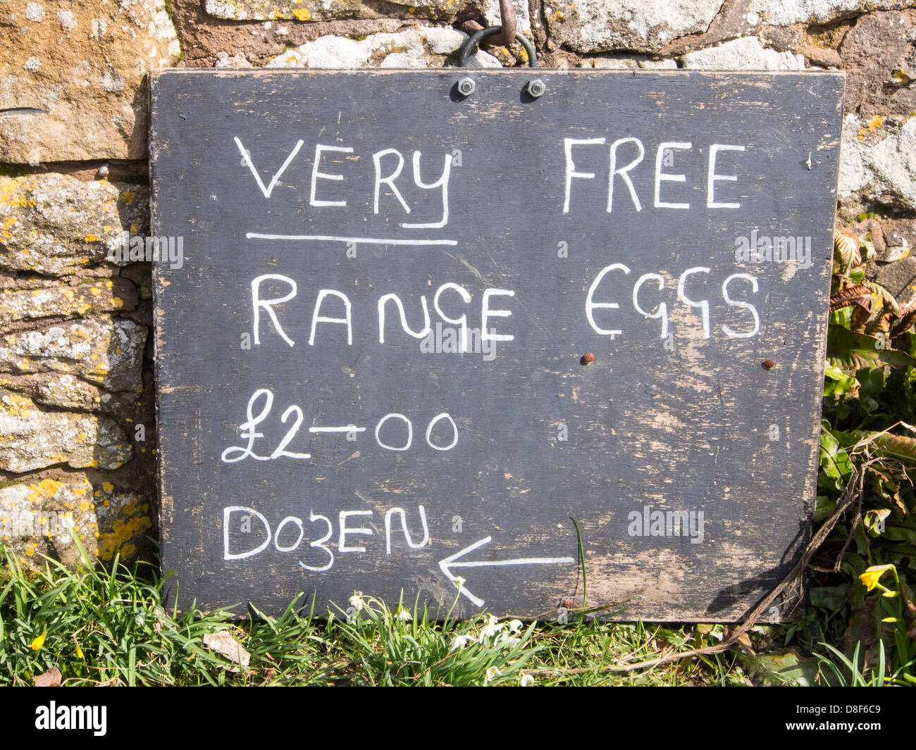 A sign for very free range eggs in Cardington, Shropshire, UK. Stock Photo