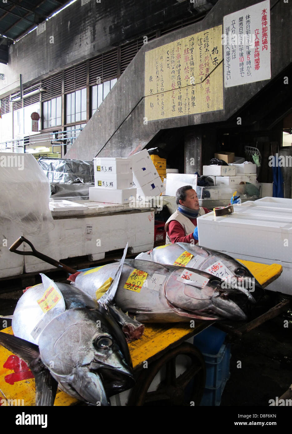 Tsukiji fish market in Tokyo, Japan Stock Photo - Alamy