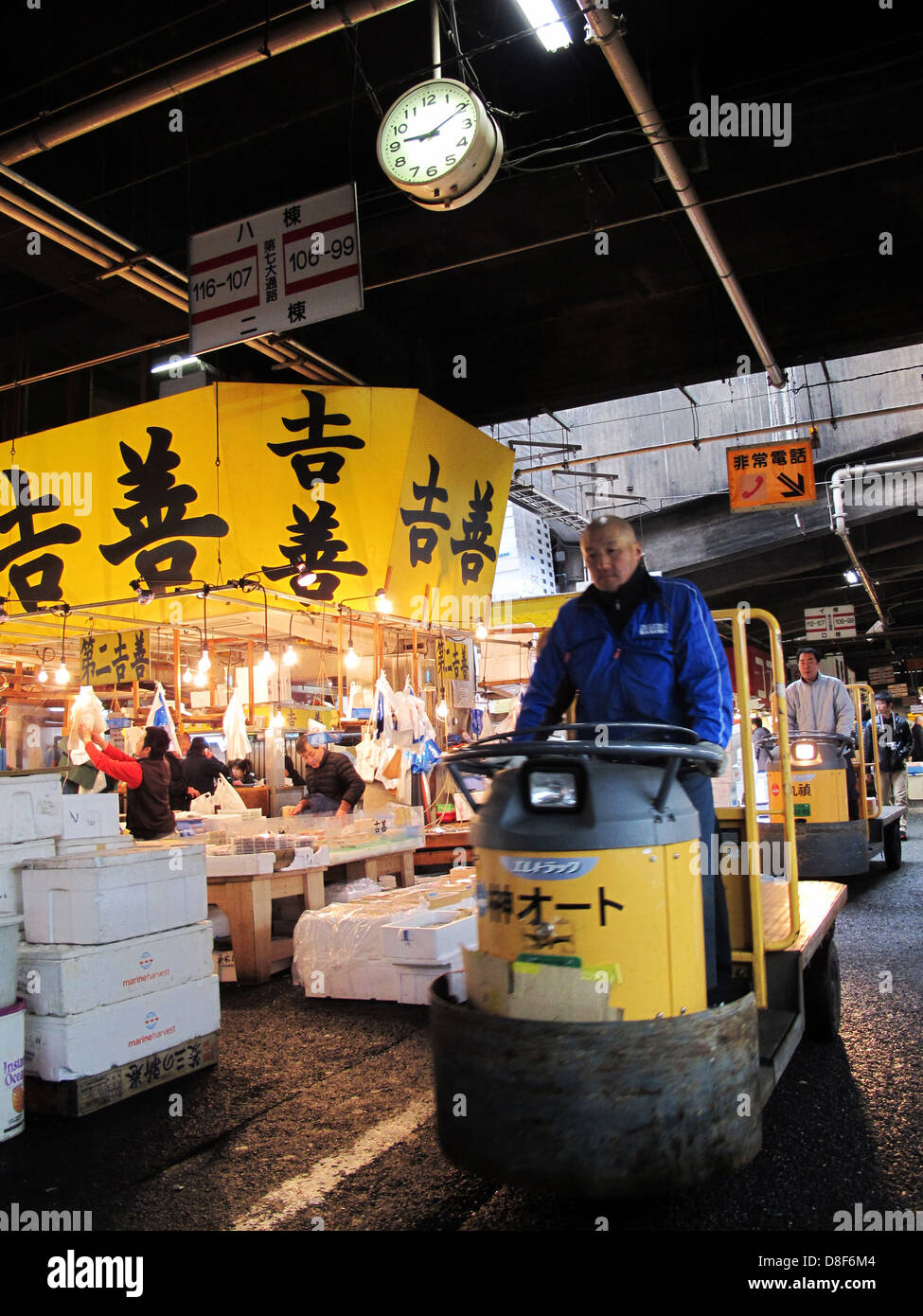 Tsukiji fish market in Tokyo, Japan Stock Photo - Alamy