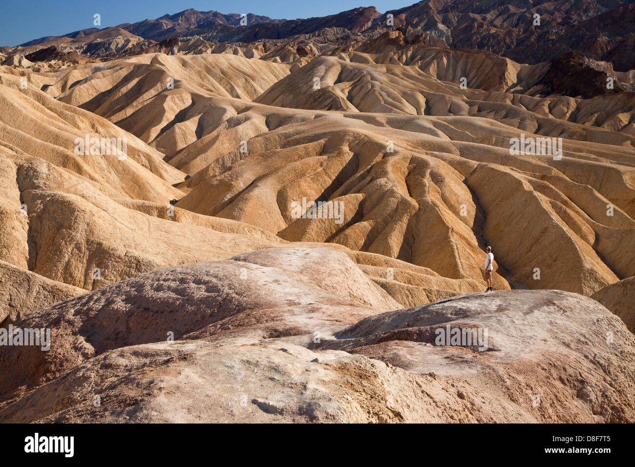 eroded rocks of Zabriskie Point at Death Valley National Park in California, United States of America, USA Stock Photo