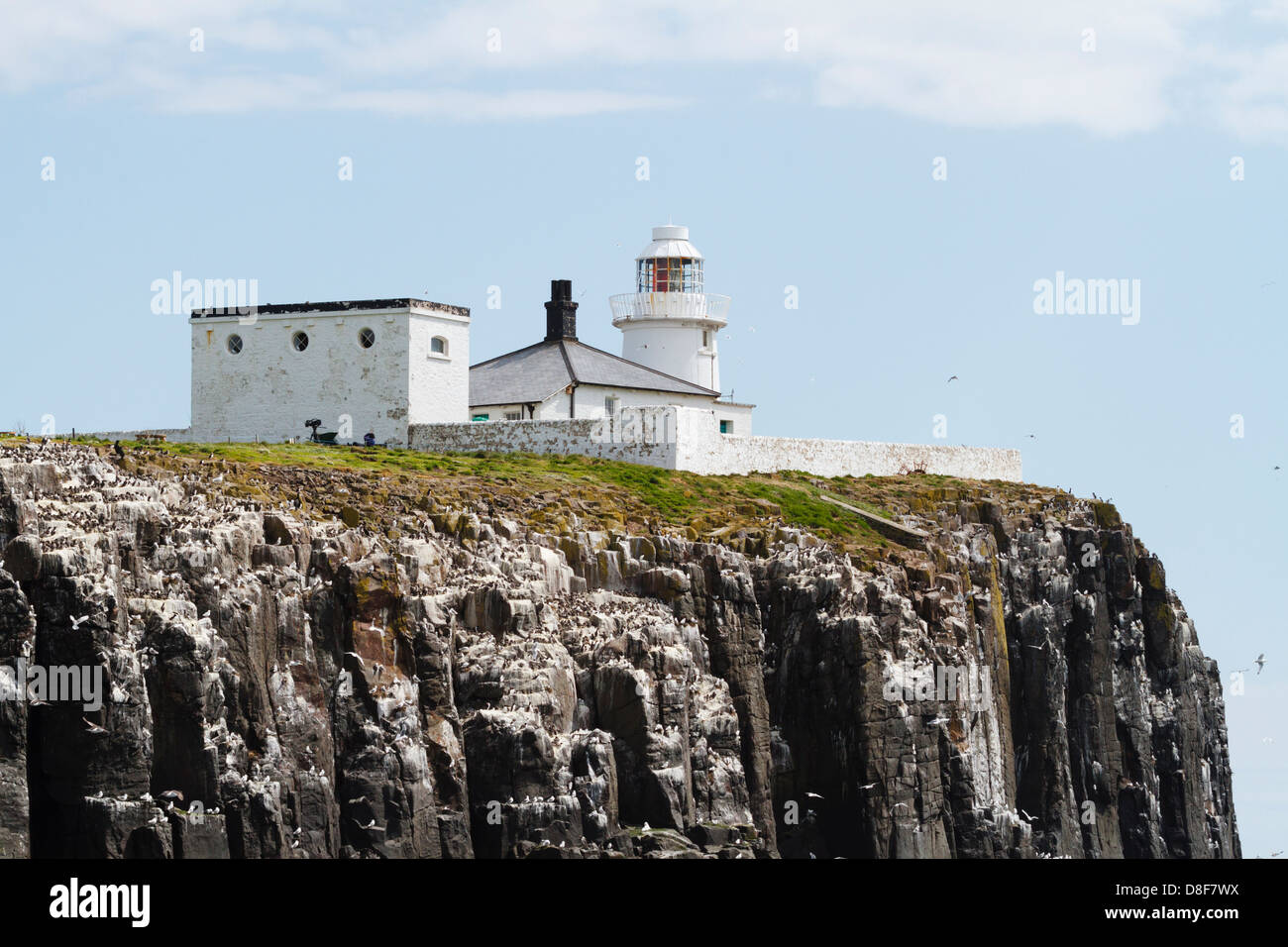 Inner Farne Island lighthouse. Northumberland Stock Photo