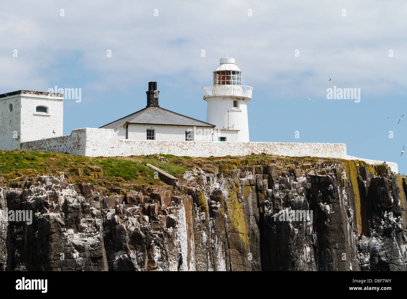 Inner Farne Island lighthouse. Northumberland Stock Photo