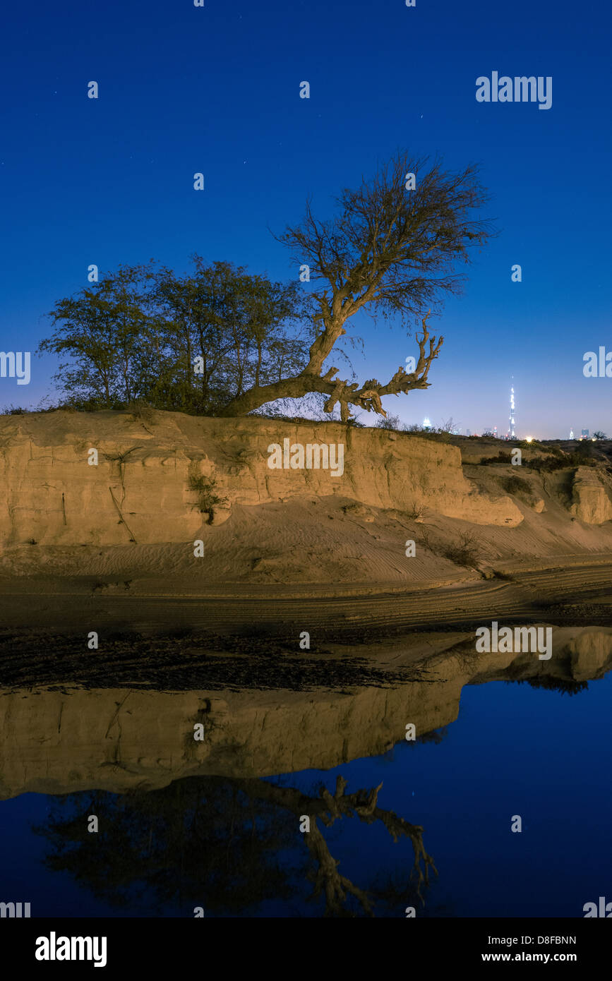 Skyline Of New Dubai Reflected In A Rainwater Lake In The Dessert