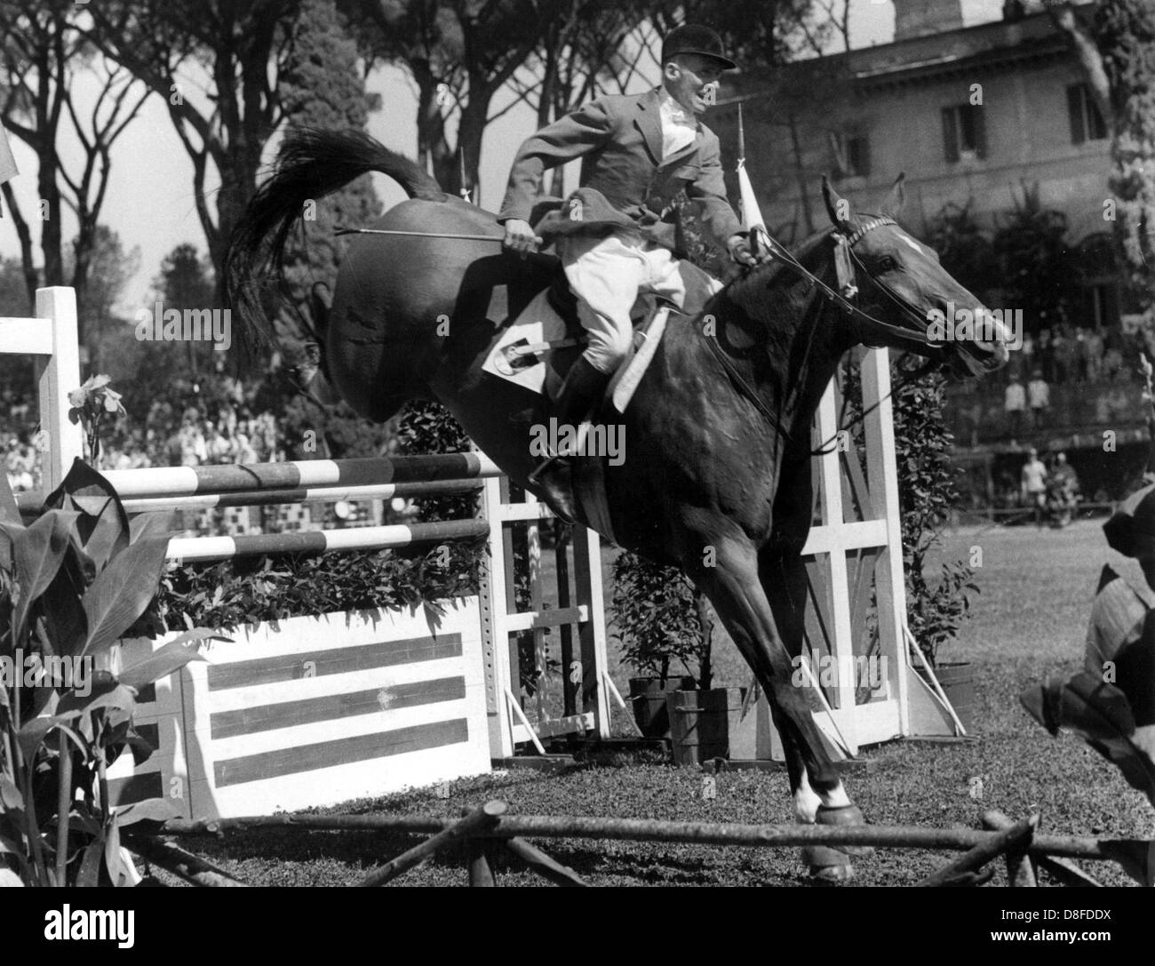 German show jumper Fritz Thiedemann and his horse Meteor cross an obstacle on the 7th of September in 1960 during the show jumping contest at the Olympic Games in Rome. Thiedemann and the German team won the gold medal. Stock Photo