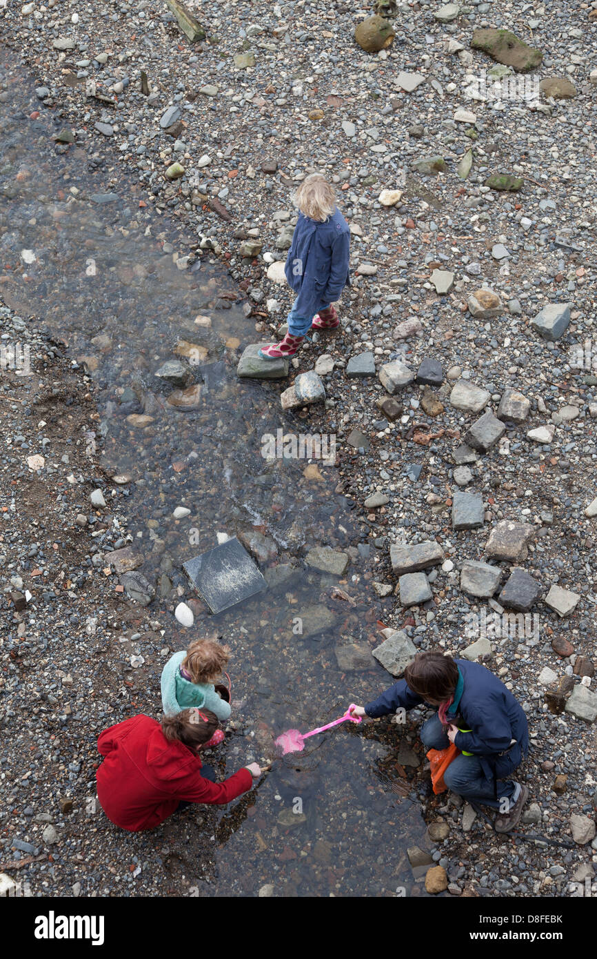 Mother and children mudlarking on Thames foreshore Stock Photo