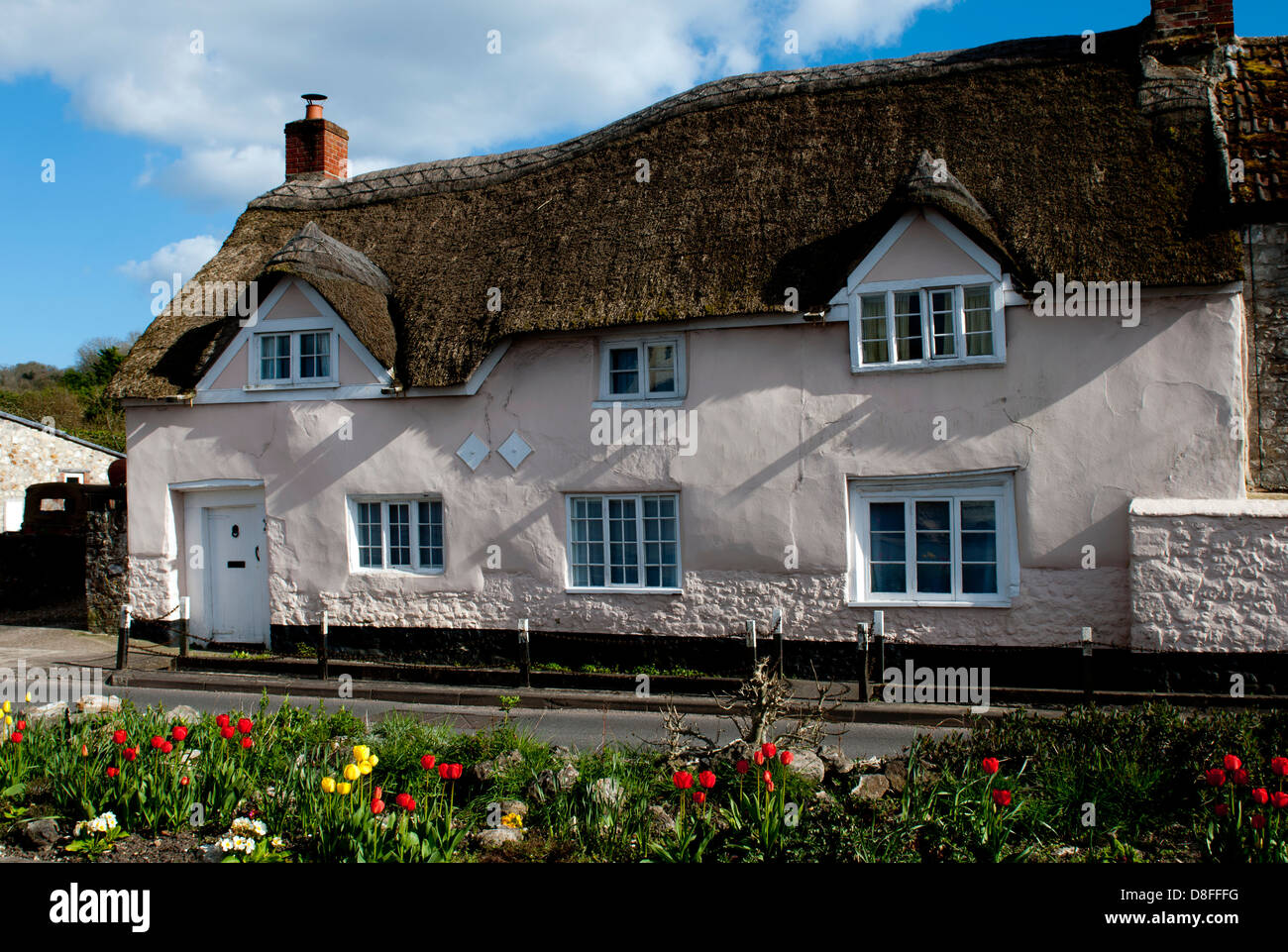 Thatched cottage in Axmouth, Devon, England, UK Stock Photo