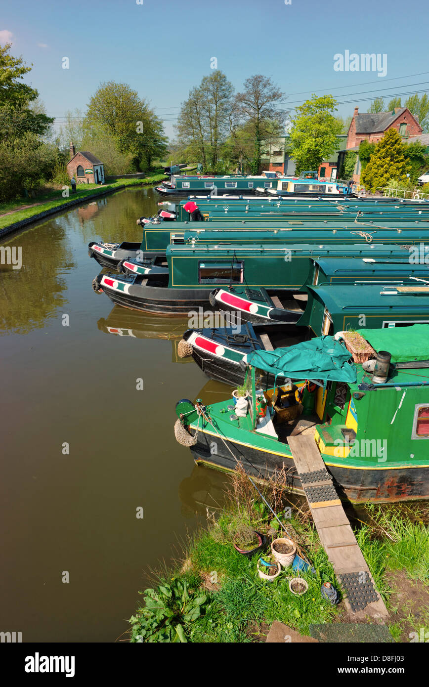 Narrow boats moored up in a marina next to the Staffordshire and Worcestershire canal at Great Haywood, Staffordshire Stock Photo